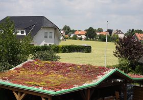 dachbegruenung